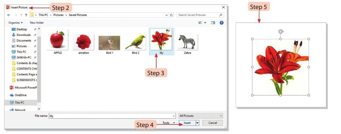 Presentation Software: Special effects Chapter Notes | Computer Studies Class 5 ICSE