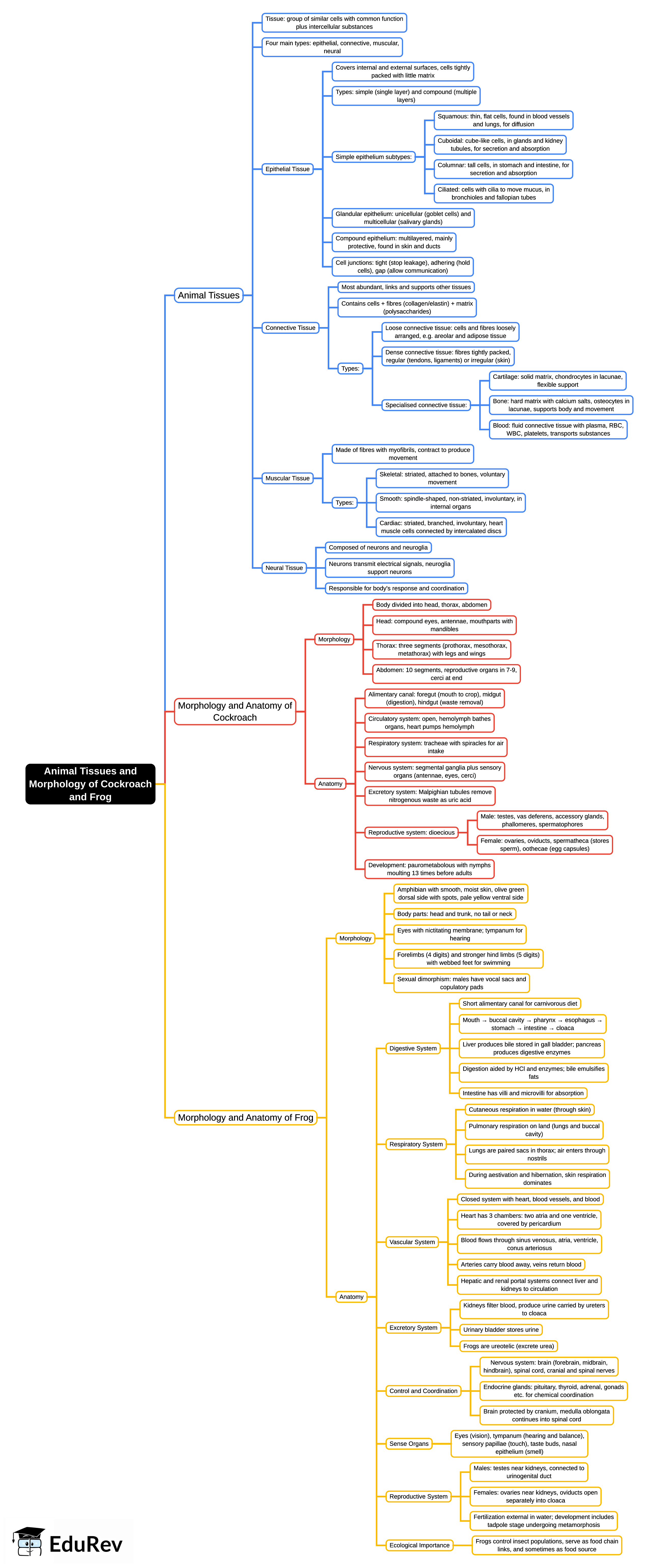 Mind Map:  Mindmaps for Biology