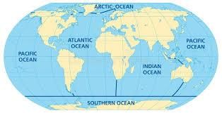 Underwater life Chapter Notes | Year 2 English IGCSE (Cambridge) - Class 2