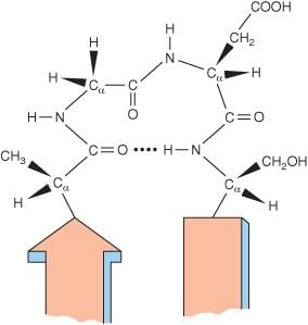 Proteins - 1 Chapter Notes | Biochemistry - NEET PG