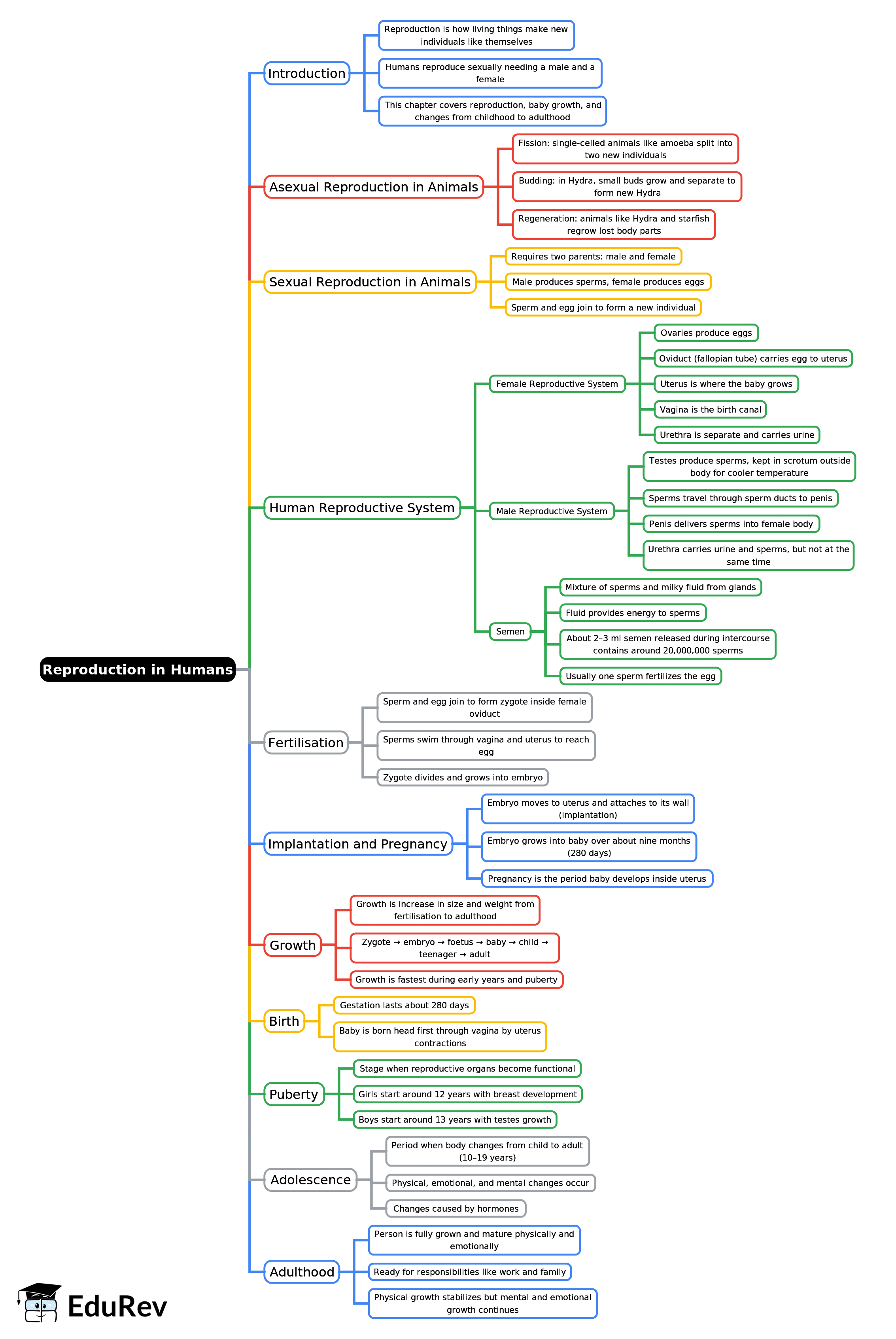Mind Map: Reproduction in Humans | Biology Class 8 ICSE