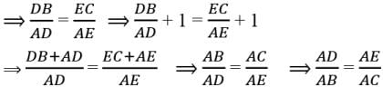 Class 10 Maths Chapter 6 Assertion and Reason Questions - Triangles