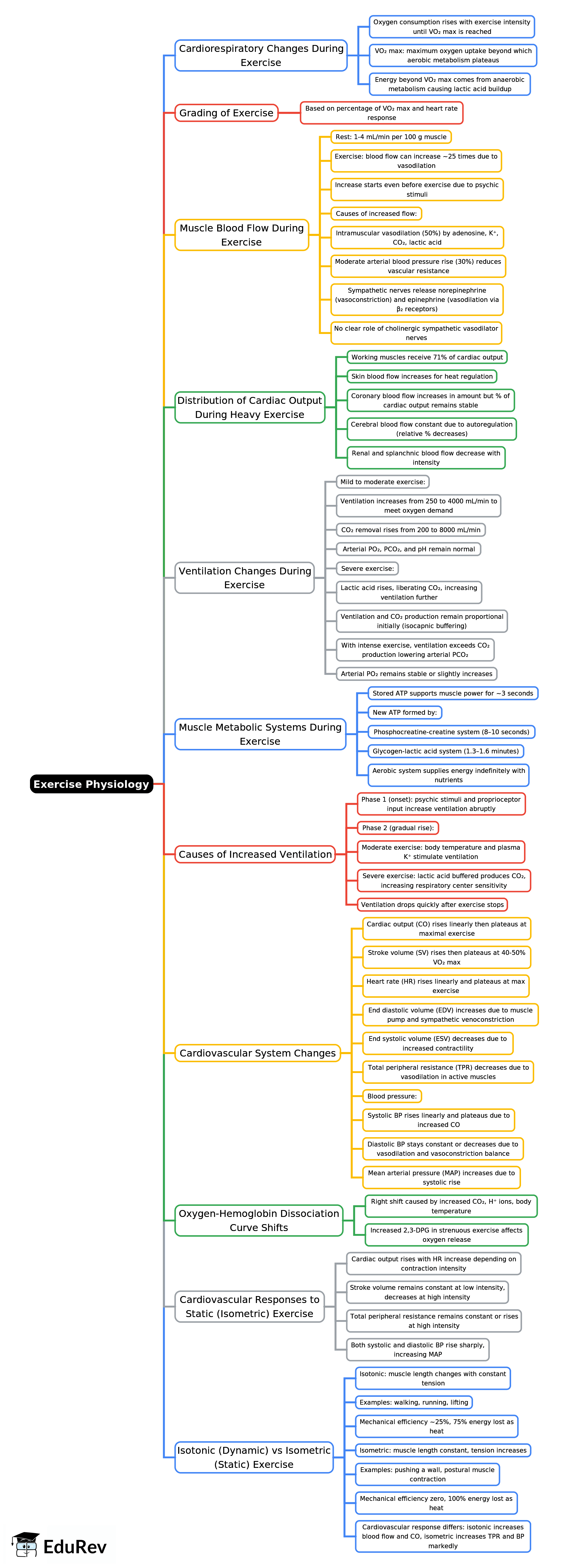 Mind Map: Exercise Physiology | Physiology - NEET PG