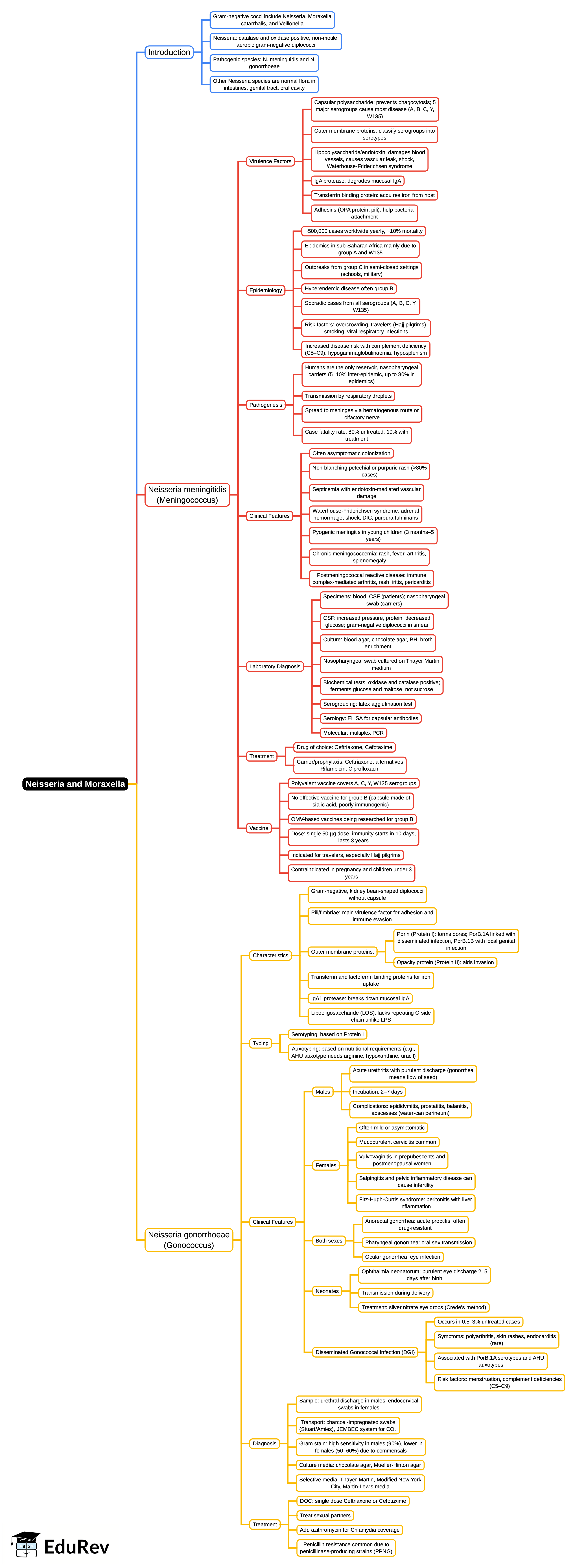 Mind Map: Neisseria and Moraxella | Microbiology - NEET PG