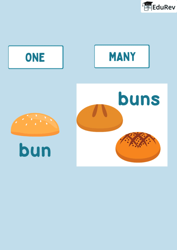 Question For One Many Flashcards: One-Many Flashcard - English for LKG
