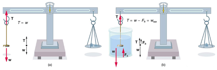 Archimedes’ Principle | Basic Physics for IIT JAM