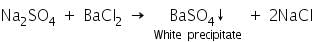 Theory & Procedure, Qualitative Analysis of Anions | Additional Study Material for NEET