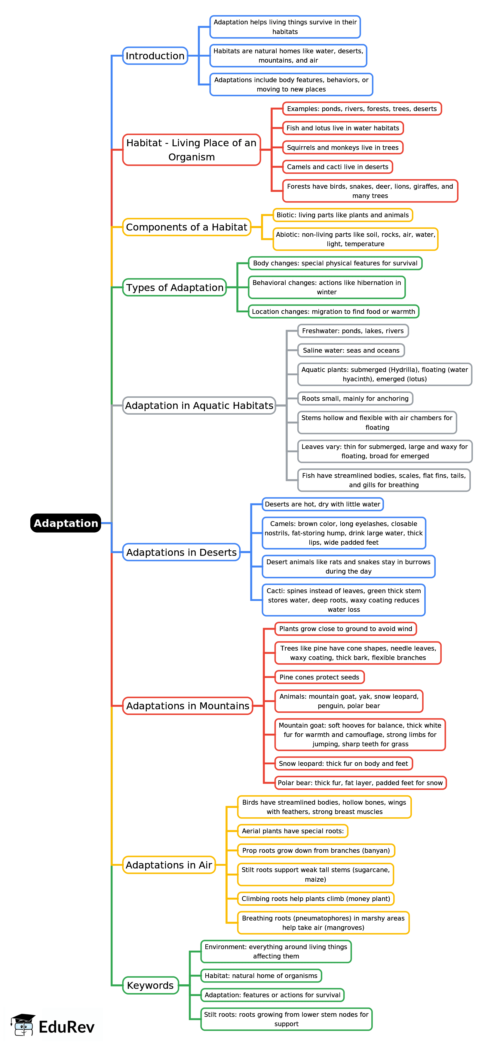 Mindmap: Adaptation | Biology Class 6 ICSE