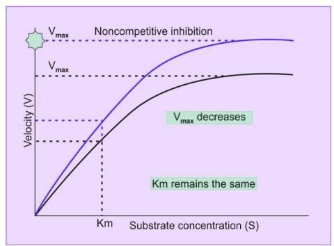Enzymes Chapter Notes | Biochemistry - NEET PG