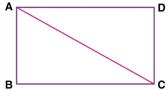 Chapter notes: Area of a Trapezium and a Polygon | Mathematics Class 8 ICSE