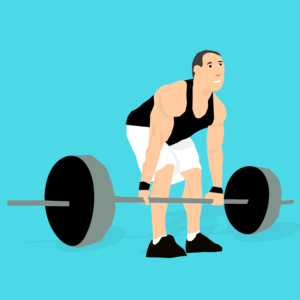 Fig: Muscular Force