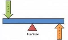 Fig: A Lever