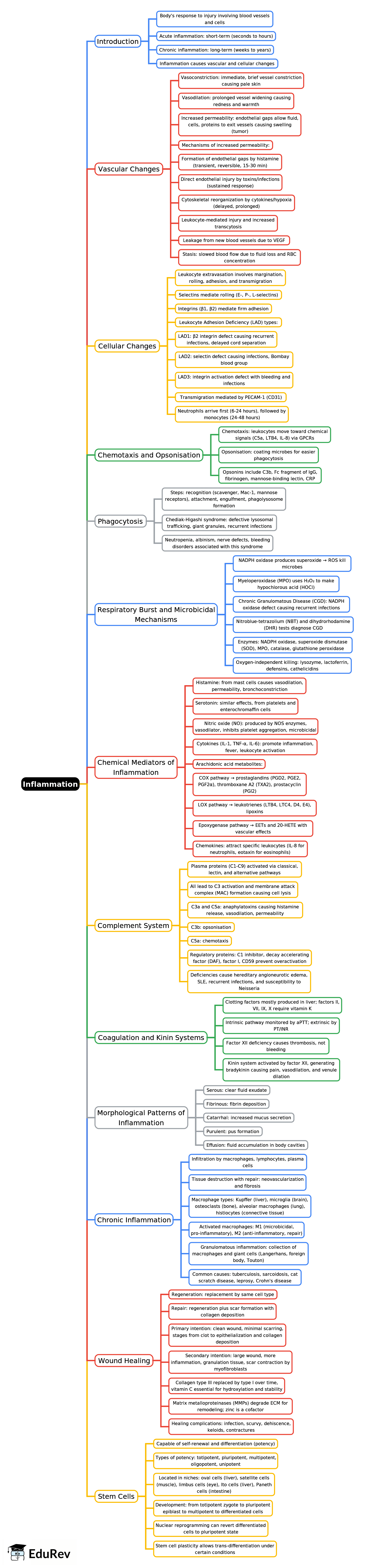 Mind Map: Inflammation