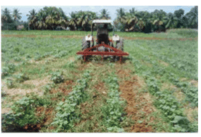 Physical & Cultural Methods of Weed Control - Modern Techniques of Raising Field & Horticultural Cro | Crop Production Notes- Agricultural Engineering