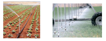 Irrigation methods - Scheduling of Irrigation and Fertilizers, Crop Production | Crop Production Notes- Agricultural Engineering