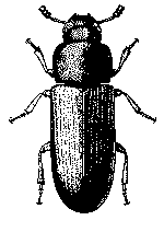 Types of Pesticides - Plant Protection Measures, Crop Production | Crop Production Notes- Agricultural Engineering