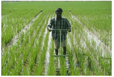 Tillage Implements - Tillage Practices and Soil Management, Crop Production | Crop Production Notes- Agricultural Engineering