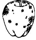 Types of Pesticides - Plant Protection Measures, Crop Production | Crop Production Notes- Agricultural Engineering