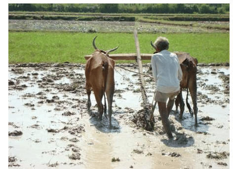 Tillage Implements - Tillage Practices and Soil Management, Crop Production | Crop Production Notes- Agricultural Engineering