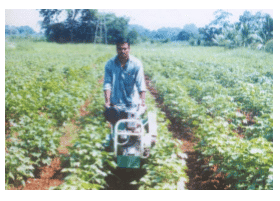 Physical & Cultural Methods of Weed Control - Modern Techniques of Raising Field & Horticultural Cro | Crop Production Notes- Agricultural Engineering