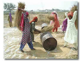 Threshing methods - Harvest and Post Harvest Operations, Crop Production | Crop Production Notes- Agricultural Engineering