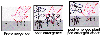 Types of Pesticides - Plant Protection Measures, Crop Production | Crop Production Notes- Agricultural Engineering