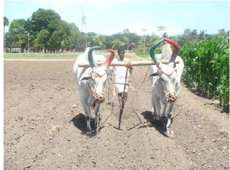 Tillage Implements - Tillage Practices and Soil Management, Crop Production | Crop Production Notes- Agricultural Engineering