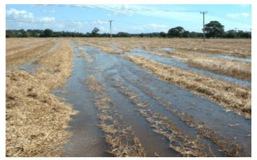 Physical & Cultural Methods of Weed Control - Modern Techniques of Raising Field & Horticultural Cro | Crop Production Notes- Agricultural Engineering
