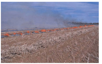 Physical & Cultural Methods of Weed Control - Modern Techniques of Raising Field & Horticultural Cro | Crop Production Notes- Agricultural Engineering