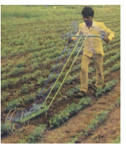 Physical & Cultural Methods of Weed Control - Modern Techniques of Raising Field & Horticultural Cro | Crop Production Notes- Agricultural Engineering