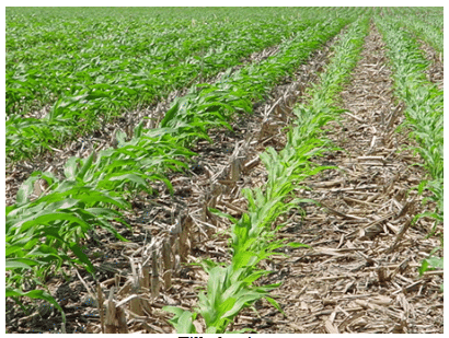 Modern tillage practices - Tillage Practices and Soil Management, Crop Production | Crop Production Notes- Agricultural Engineering