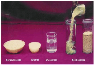 Seed treatment - Seed and Seeding Practices, Crop Production | Crop Production Notes- Agricultural Engineering