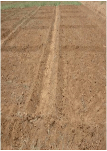 Types of tillage - Tillage Practices and Soil Management, Crop Production | Crop Production Notes- Agricultural Engineering