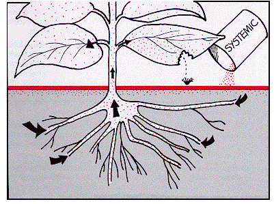 Types of Pesticides - Plant Protection Measures, Crop Production | Crop Production Notes- Agricultural Engineering