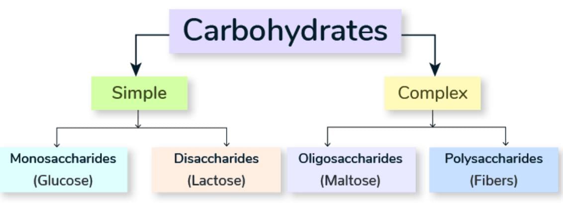 Chemistry of Carbohydrates Chapter Notes | Biochemistry - NEET PG