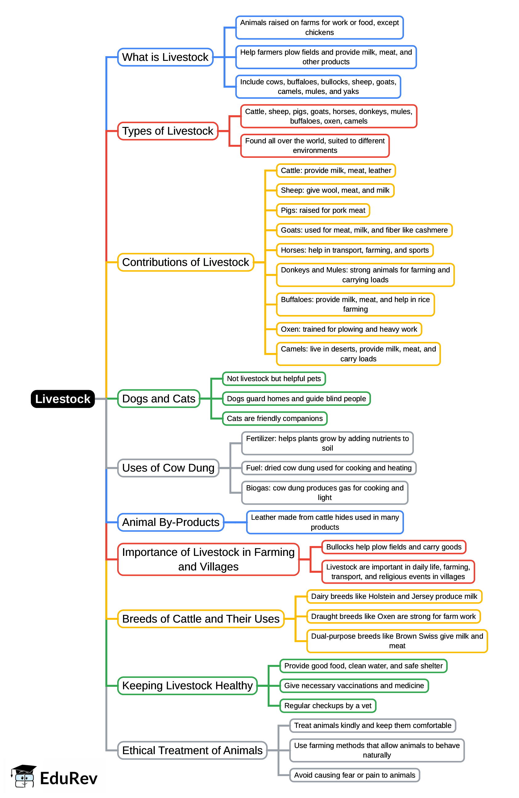 Mindmap: Livestock | Social Studies for Class 4