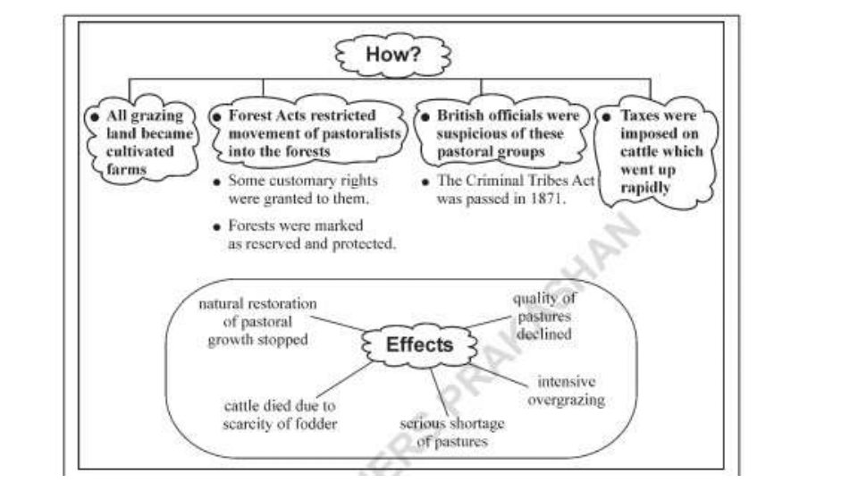 Chapter – 5 History Pastoralists in the Modern World - Class 9