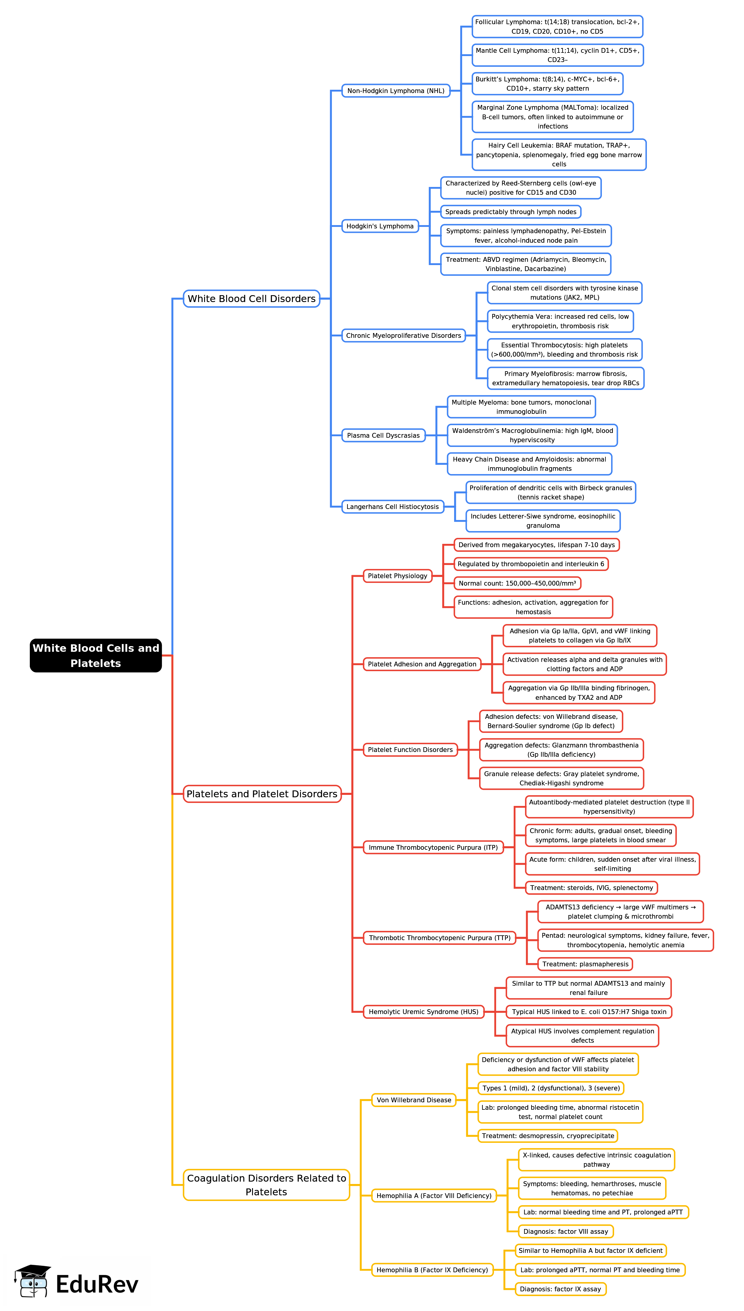 Mind Map: White Blood Cells and Platelets -2