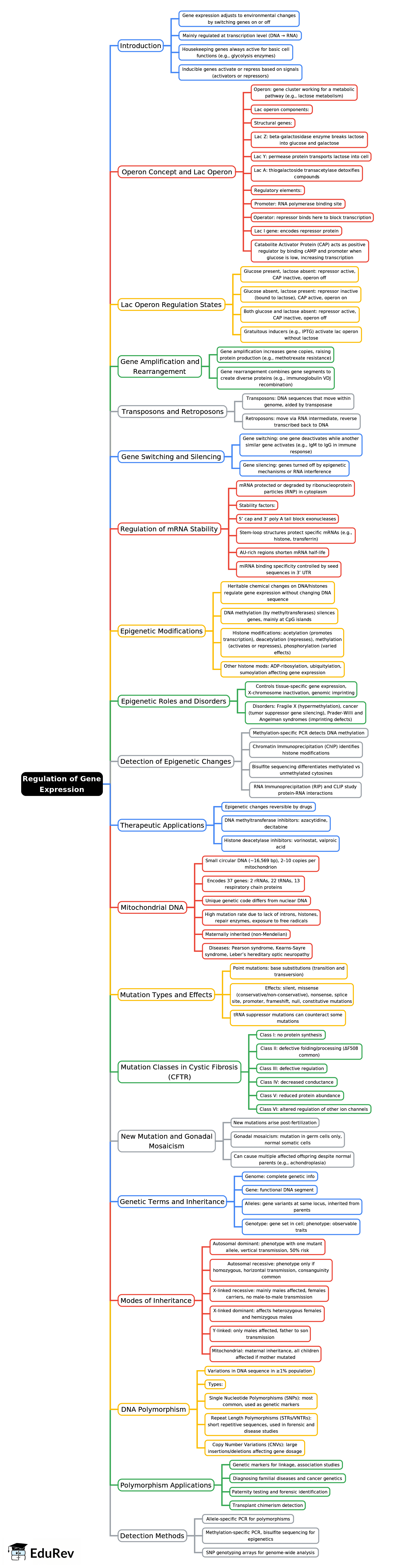 Mind Map: Regulation of Gene Expression | Biochemistry - NEET PG