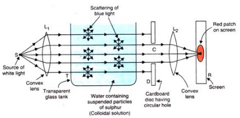 Solutions of The Human Eyes And The Colorful Wor (Page No- 293 & 297) - Physics By Lakhmir Singh - Class 10