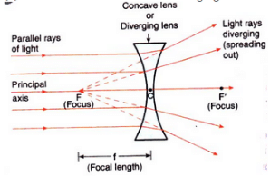 Solutions of Refraction of Light (Page No- 240) - Physics By Lakhmir Singh, Class 10