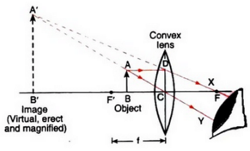 Solutions of Refraction of Light (Page No- 240) - Physics By Lakhmir Singh, Class 10