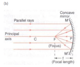 Solutions of Reflection of Light (Page No- 179) - Physics By Lakhmir Singh, Class 10