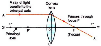 Solutions of Refraction of Light (Page No- 240) - Physics By Lakhmir Singh, Class 10