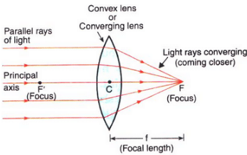 Solutions of Refraction of Light (Page No- 240) - Physics By Lakhmir Singh, Class 10