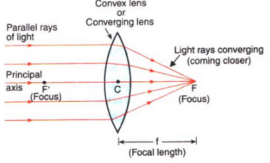 Solutions of Refraction of Light (Page No- 240) - Physics By Lakhmir Singh, Class 10
