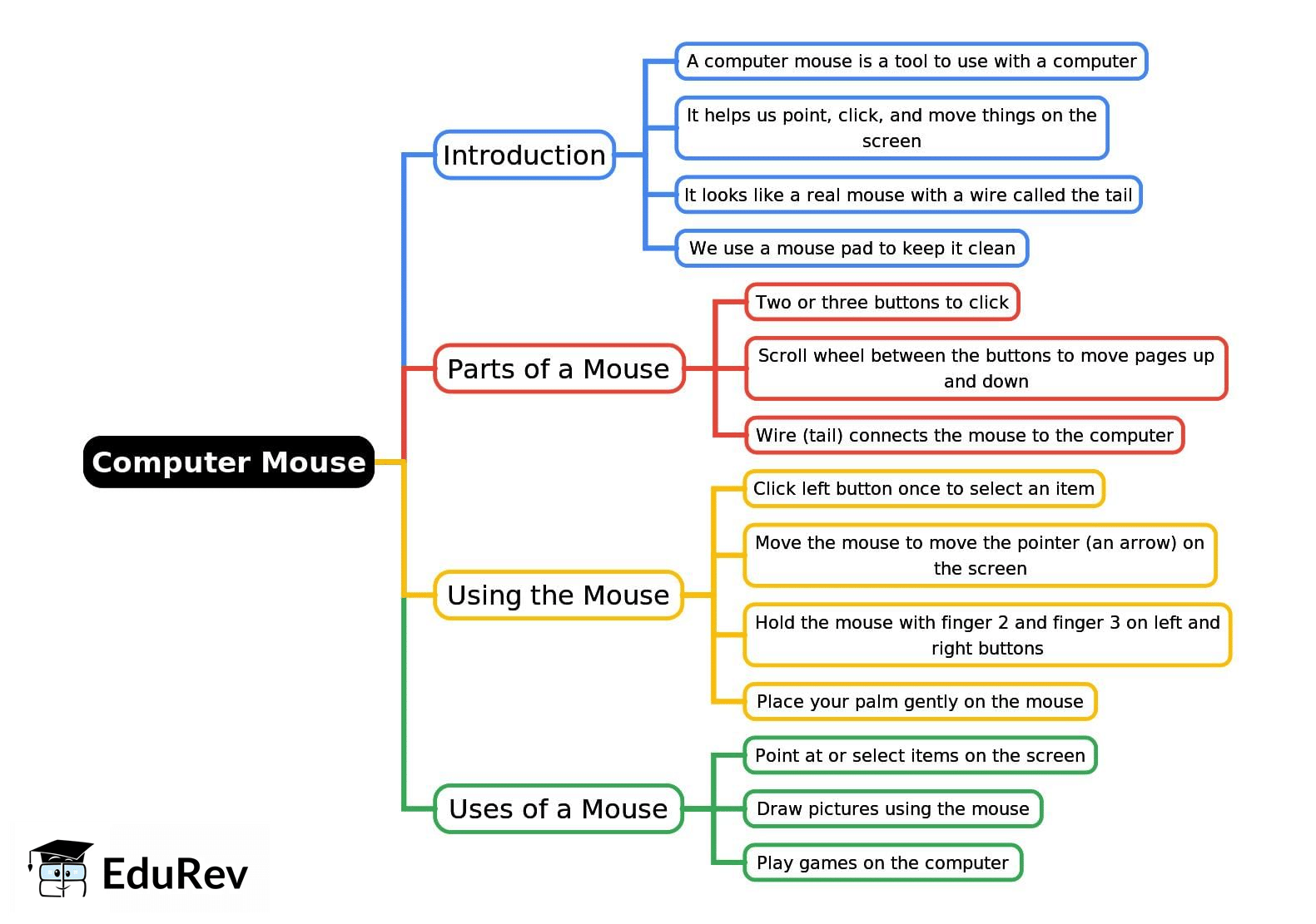 Mind Map: Computer Mouse | Year 1 Computing IGCSE (Cambridge) - Class 1