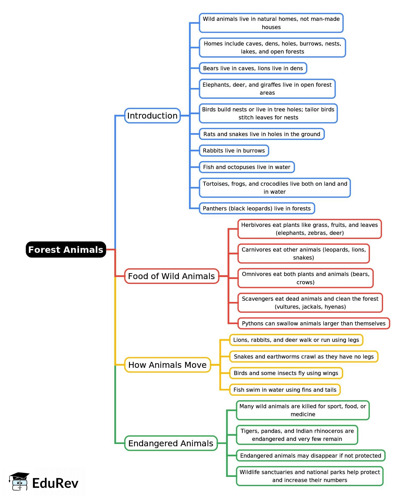 Mind Map: Forest Animals | Science Class 2 ICSE