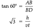 Class 10 Maths Chapter 9 Case Based Questions - Some Applications of Trigonometry