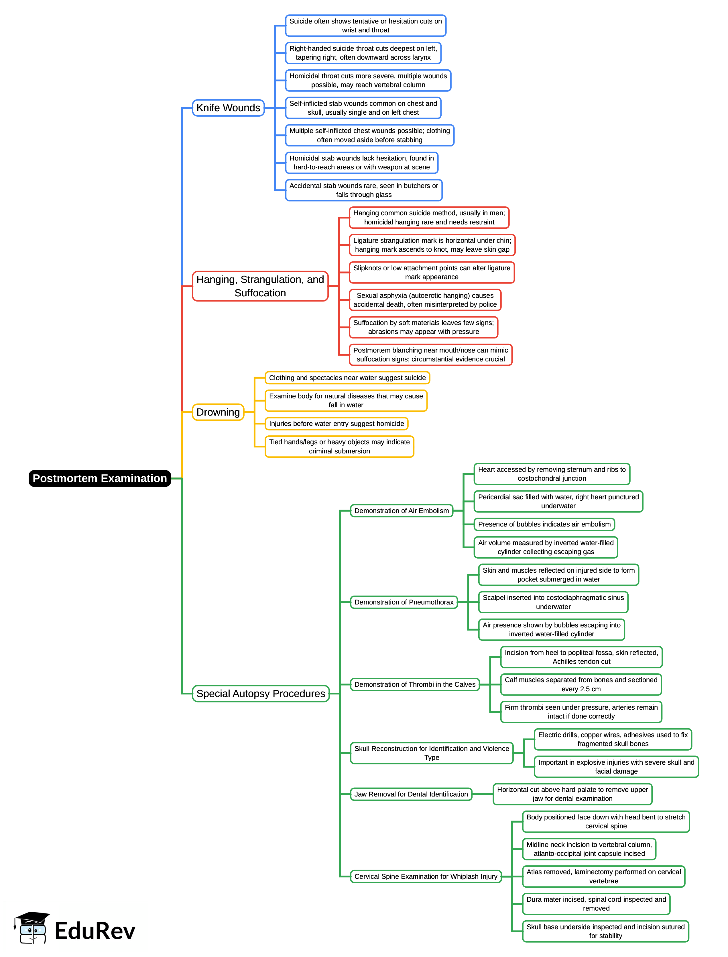Postmortem Examination Mind Map - NEET PG Forensic Medicine and Toxicology